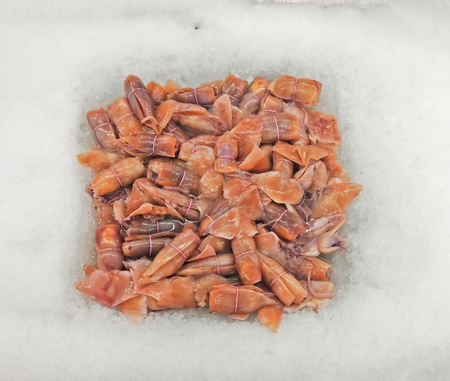 Group of fresh raw squid on ice backgroundの写真素材