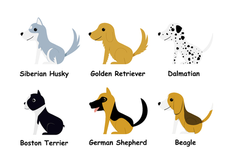 Set of puppy dog in flat style, side view, vector artのイラスト素材