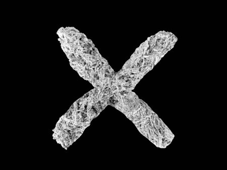 Capital letter X - made of Spider Web, on black backgroundの写真素材