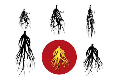 Set of ginseng icon and silhouette, vector art designのイラスト素材