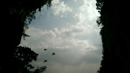 The view の素材