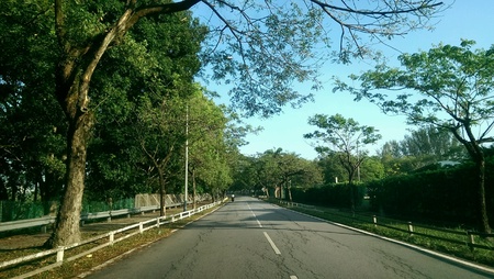 Country roadの素材