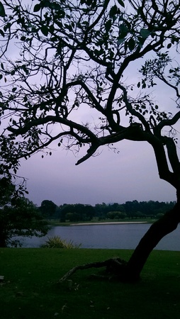 Lakesideの素材