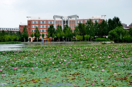 Exterior view of an architectural building by a lotus lakeのeditorial素材