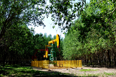 Oil pump jacks in a jungleのeditorial素材