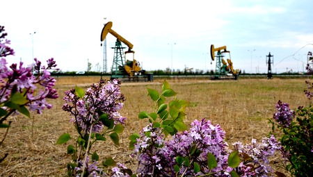 Flowers overlooking oil pump jack machinesの写真素材