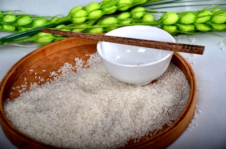 Riceのeditorial素材