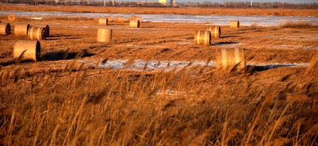 Autumn harvestの写真素材