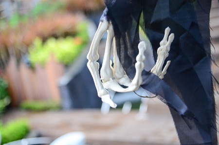 Halloween Skeleton hanging fingerの写真素材