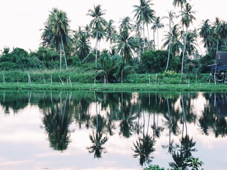 Summer river with bright blue sky and cloudsの写真素材