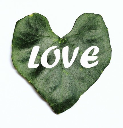 Loveの写真素材