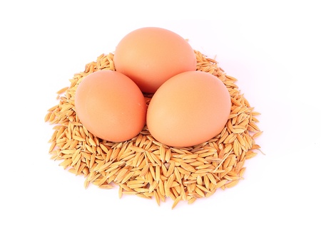  eggの写真素材
