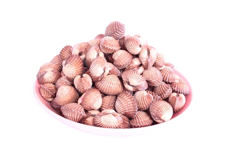  Cockle