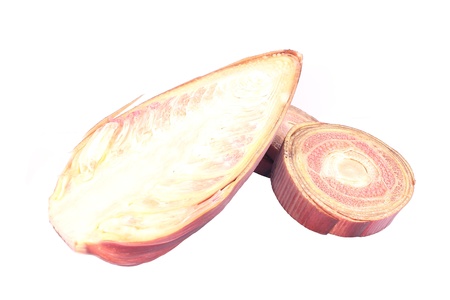 Banana flowerの写真素材