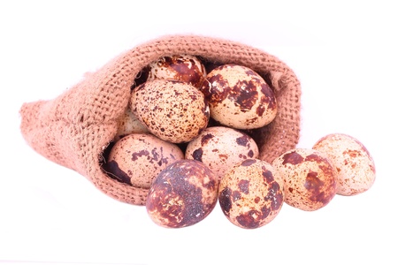 Quail eggsの写真素材