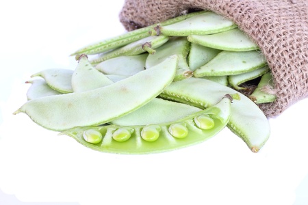 Garden Pea