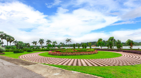 Garden flowers in Chiang Rai, Thailandの写真素材