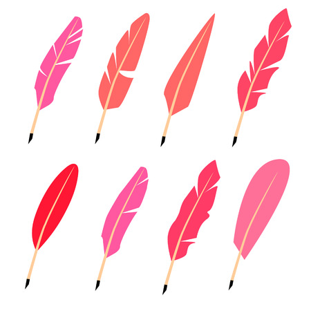 Vector feather. Four variants of color.のイラスト素材