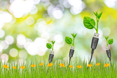 usb cable with a small plantの写真素材