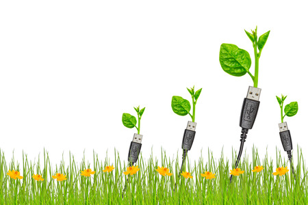 usb cable with a small plant