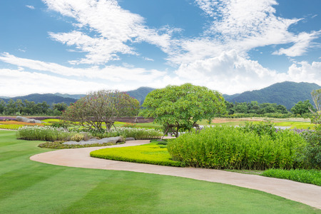 flower garden In Chiang Raiの写真素材