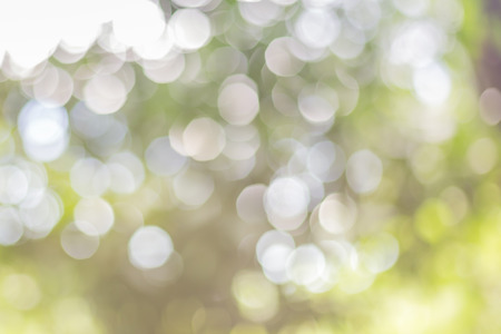 Defocused abstract green background