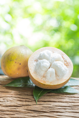 Santol fruit on woodの写真素材