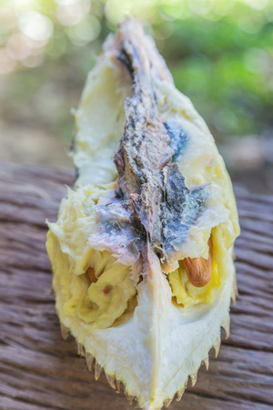 Durian and durian fruit is rotten.の写真素材