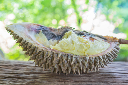 Durian and durian fruit is rotten.の写真素材