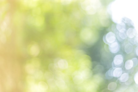 Defocused abstract green backgroundの写真素材