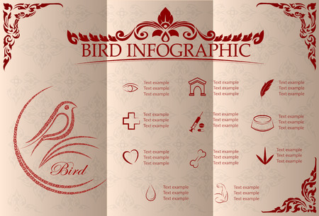 bird infographics and icon set.のイラスト素材