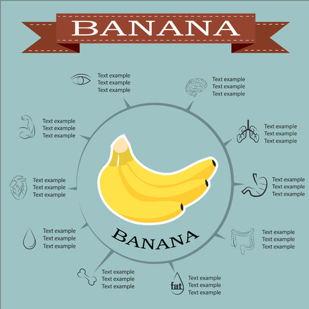banana, infographics. fruits vector illustrationのイラスト素材