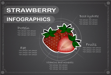 strawberry, infographics. fruits vector illustration.のイラスト素材