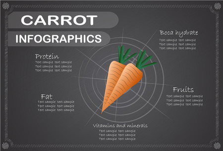 Carrot  infographics, Vector illustration.のイラスト素材