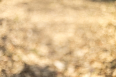 Defocused abstract  backgroundの写真素材