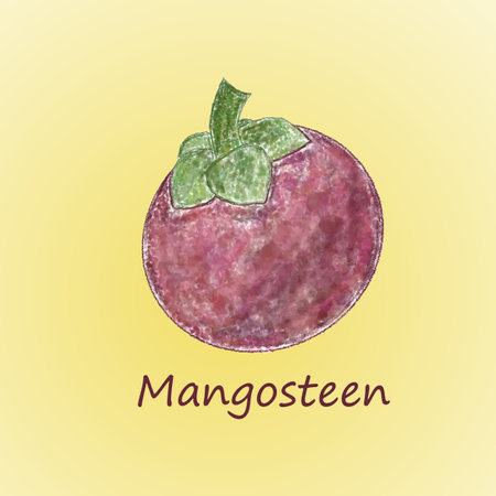 mangosteen on yellow background. vector illustration.のイラスト素材