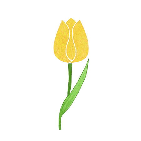 tulips on white background. vector illustration.のイラスト素材