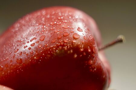 Fresh red appleの写真素材