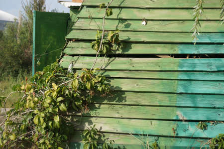 Outdoor teal vintage wooden houseの写真素材