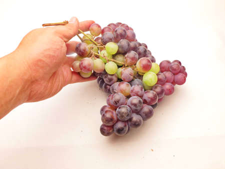 Red grapes, a bunch in your hand