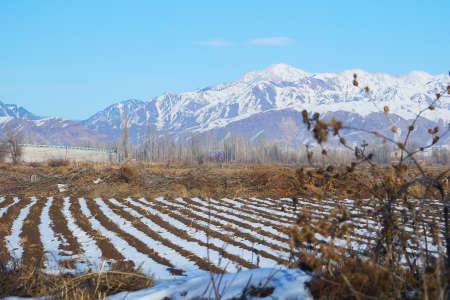Farmland after snow in winter, snow mountainの写真素材