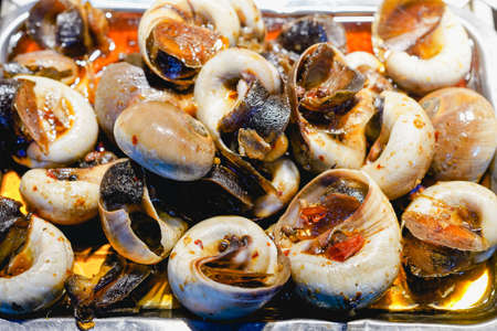 Fried small shells, kitchen seafoodの写真素材