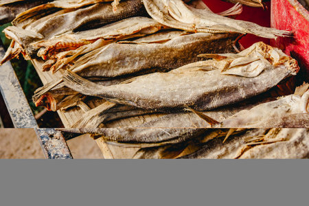 Method of storing fish, dried salted fishの写真素材