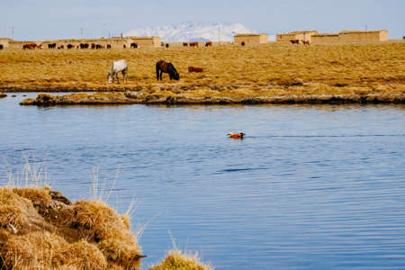 Snowy Mountain Wetland Scenery, Obao, Tibetの写真素材