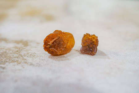 Bunch of red raisins, fresh grapes and sun-dried snacksの写真素材