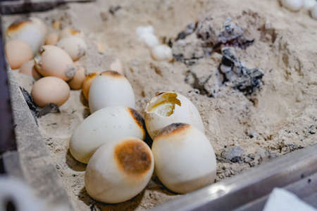 Charcoal grilled eggs, middle Eastern cuisineの写真素材