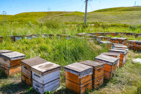 Outdoor grassland beekeeping beehiveの写真素材