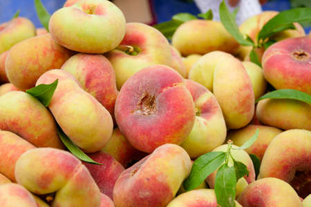 Fresh ripe flat peaches harvested from the orchardの写真素材