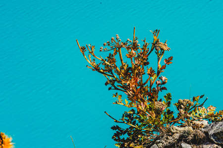 The scenery of the blue lake surrounded by mountainsの写真素材