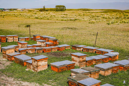 Outdoor grassland beekeeping beehiveの写真素材